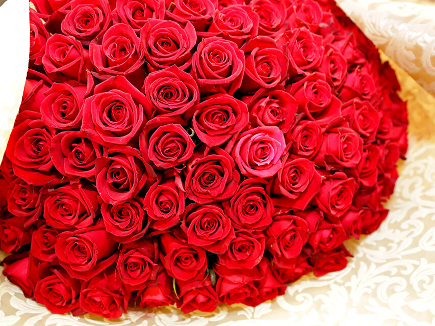 100歳のお祝い バラ100本